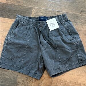 Abercrombie & Fitch Gray Men's Flat Front Shorts